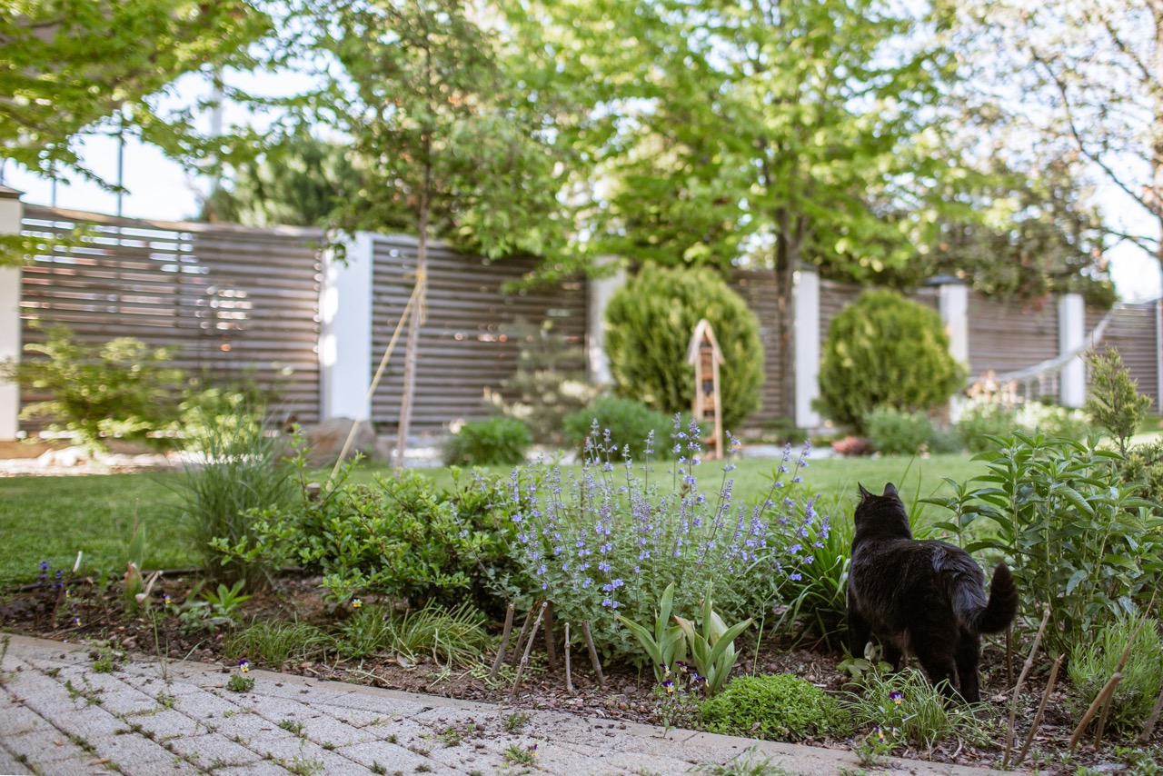 Garten- und Landschaftsbau von AL-BAU in Essen
